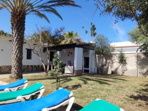 Cette chambre offre une vue sur une maison dotée de chaises longues et d'un palmier. dans l'établissement Casa Portal, à El Palmar