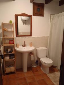 uma casa de banho com um lavatório, um WC e um espelho. em Casa Ben Abora em Las Rosas