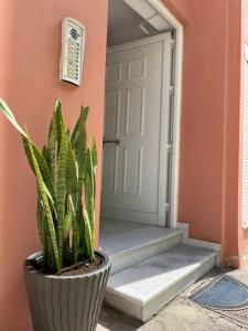 Fotografie z fotogalerie ubytování Kleio's Apartment v destinaci Lixouri