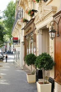 a building with two potted trees on a street at Hotel Meslay Republique in Paris