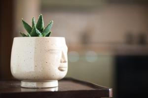 a white vase with a succulent plant in it at Zen House in Cormano