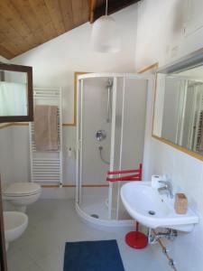 a bathroom with a shower and a toilet and a sink at Appartamento AQUILONE in Mergozzo