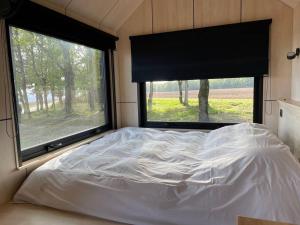 ein Schlafzimmer mit einem Bett und zwei großen Fenstern in der Unterkunft L'Envolée Ecolodge, tiny house au coeur des vignes in Loches-sur-Ource
