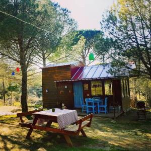 a small house with a picnic table in front of it at Kozalak Bungalov Kozak Yaylası in Çamoba