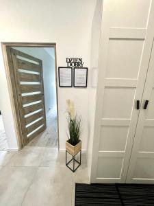 a hallway with a door and a potted plant at Apartments Sleep & GO Modlin Airport in Nowy Dwór Mazowiecki