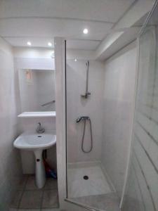 La salle de bains est pourvue d'une douche et d'un lavabo. dans l'établissement Comme à la maison !, à Chavanoz