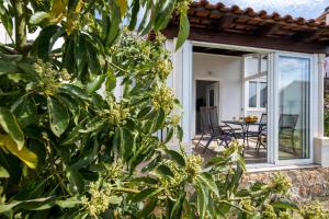- une vue sur une maison depuis le jardin dans l'établissement Avocado Apartment, à Dubrovnik