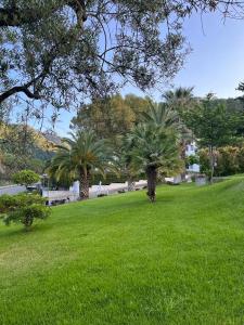 einen Park mit Palmen und grünem Gras in der Unterkunft Wanderlust Guesthouse in Lamezia Terme
