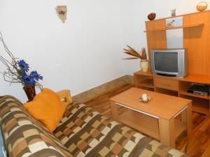 a living room with a couch and a tv at Villa Luma Apartments in Labin