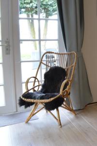 Φωτογραφία από το άλμπουμ του Gastenverblijf De Weldadigheid σε Eesveen