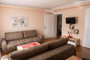 Una sala de estar con un sofá y un televisor. en Key Apartments, en Novi Sad