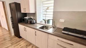 Kuchyň nebo kuchyňský kout v ubytování Apartmány Ellie