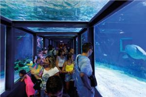 een groep mensen die in een groot aquarium staan bij Très beau studio au Grau du Roi tout équipé 33m2 in Le Grau-du-Roi