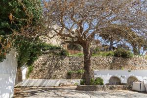 Κήπος έξω από το Oasis Mountain House