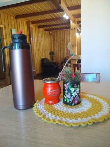 un thermos et des plantes en pot sur une table dans l'établissement Departamento Luminoso, à Montecarlo