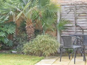 uma mesa e cadeira num jardim com palmeiras em Cranleigh em Pakefield
