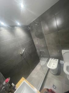 uma casa de banho com um chuveiro, um WC e um lavatório. em Departamento en peatonal Mendoza em Mendoza