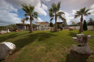 um quintal com palmeiras e uma casa em Quinta dos Silvas - Piscina em Ancião