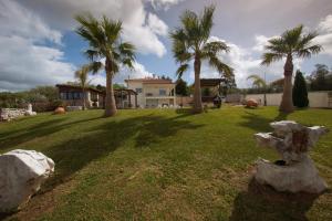 a yard with palm trees and a house at Quinta dos Silvas - Piscina in Ansião