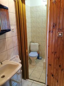 a bathroom with a toilet and a sink at Dom wczasowy Maja in Dźwirzyno