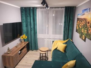 salon z zieloną kanapą i telewizorem w obiekcie Apertment Wenus w Zabrzu