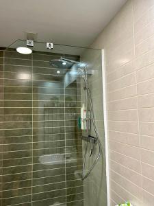 a shower with a glass door in a bathroom at Apartamento Pinares in Soria