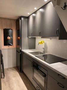 a kitchen with a sink and a refrigerator at Solbergs, fint attefallshus i Vik, Åre in Åre