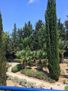 a garden with palm trees and plants at Limnaria Villas Kato Paphos - wonderful villa near the beach and all facilities in Paphos City