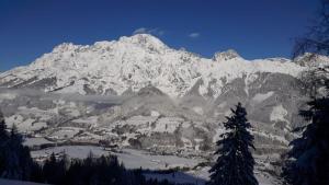 une montagne enneigée avec un arbre devant elle dans l'établissement Appartement Leni Leogang, à Leogang