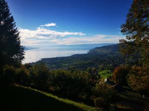 a view of a lake from a hill with trees at Elvira House Montreux, un lieu magique ! in Montreux