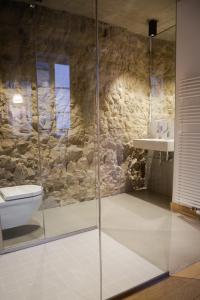 a bathroom with a shower and a toilet and a sink at La Pipistrelle Hotel in Luxembourg