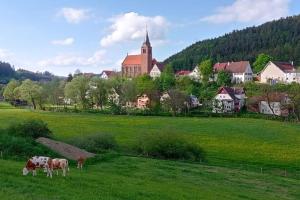 a group of cows grazing in a field with a town at Ferienglück im Schwarzwald in Zimmern ob Rottweil
