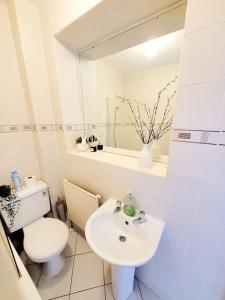 a bathroom with a toilet and a sink and a mirror at One bedroom apartment with a terrace in Angel (Islington)! in London