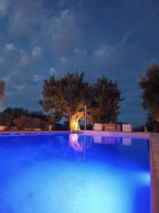 una grande piscina con un albero sullo sfondo di Il Vecchio Carrubo - Villa con piscina a sfioro a Macchia di Monte