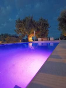 una piscina con un albero sullo sfondo di notte di Il Vecchio Carrubo - Villa con piscina a sfioro a Macchia di Monte