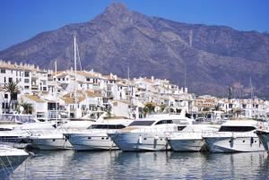 a bunch of boats are docked in a harbor at Hostal La Colonia in Marbella