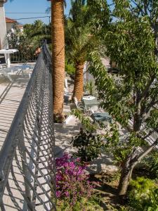 Fotografie z fotogalerie ubytování Apartments Marco Polo v Rabu