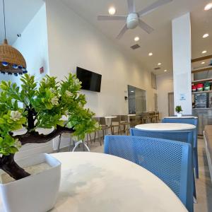 un comedor con mesas y sillas y una maceta en Azure Lofts & Pool, en San Andrés