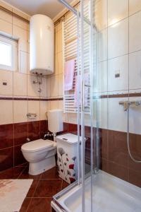 a bathroom with a toilet and a shower at Family friendly house with a swimming pool Caska, Pag - 20734 in Novalja
