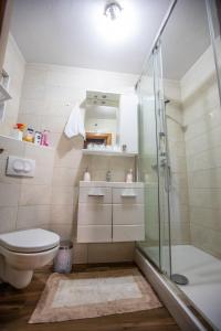 a bathroom with a glass shower and a toilet at Holiday house with a parking space Sabljak Selo, Gorski kotar - 20580 in Ogulin