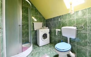 a bathroom with a toilet and a washing machine at Apartments with parking space Saborsko, Plitvice - 20975 in Saborsko