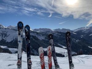 Skiing at the holiday home or nearby