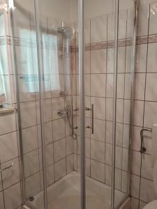 y baño con ducha y puerta de cristal. en Family friendly house with a parking space Kuzelj, Gorski kotar - 20980, en Kuželj