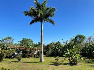 Gallery image of Enchanted Galapagos Lodge in Puerto Ayora