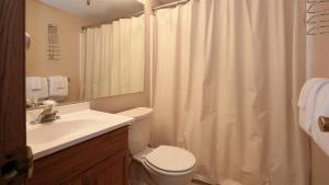ein Badezimmer mit Toilette, Waschbecken und Dusche in der Unterkunft Seven Springs Stoneridge 3 Bedroom Standard Condo - Ski-In Out, Pet Friendly! condo in Champion