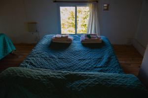a bedroom with two beds with blue sheets and a window at Los Ñires in Esquel