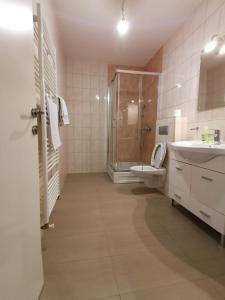 une salle de bains avec douche, toilettes et lavabo dans l'établissement Delux Apartment, à Sarajevo