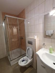 y baño con ducha, aseo y lavamanos. en Delux Apartment, en Sarajevo