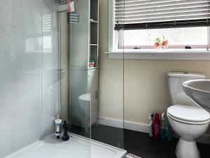 uma casa de banho com um WC e uma cabina de duche em vidro. em Number Twenty-nine em Berwick-Upon-Tweed