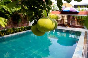 un limone appeso a un albero accanto alla piscina di Tam Coc international friends a Ninh Binh